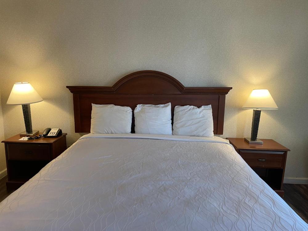 King Room interior